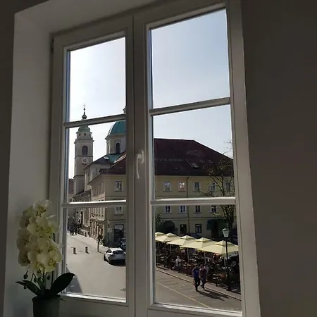 Vodnikov Hram Apartman *